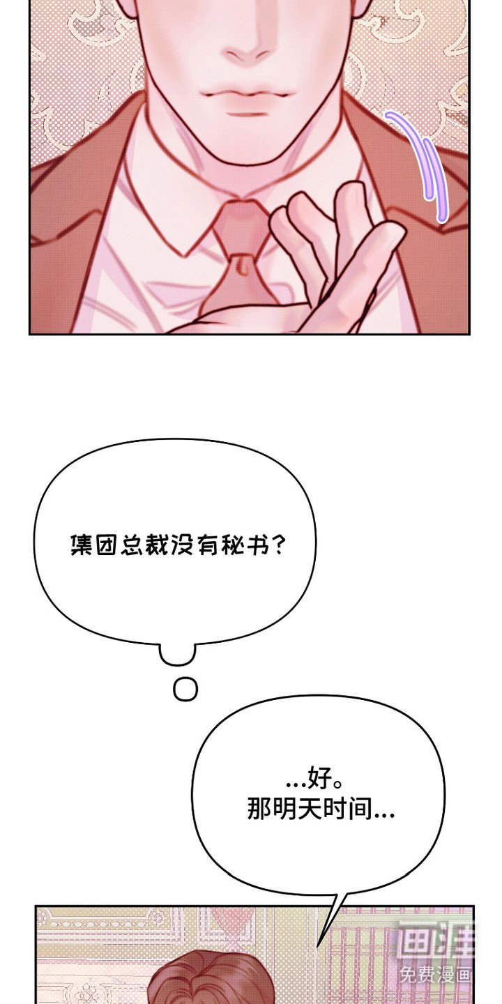 第11章：方案