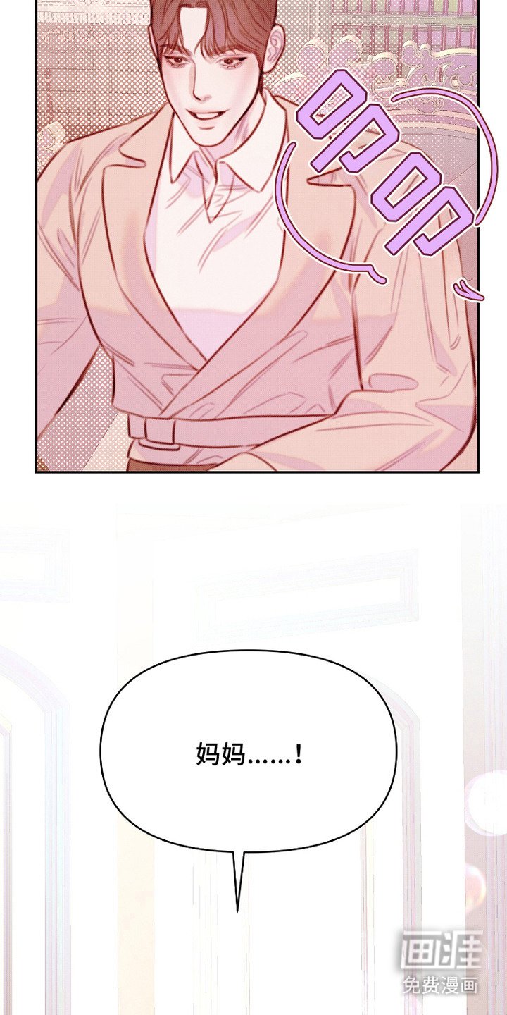 第11章：方案