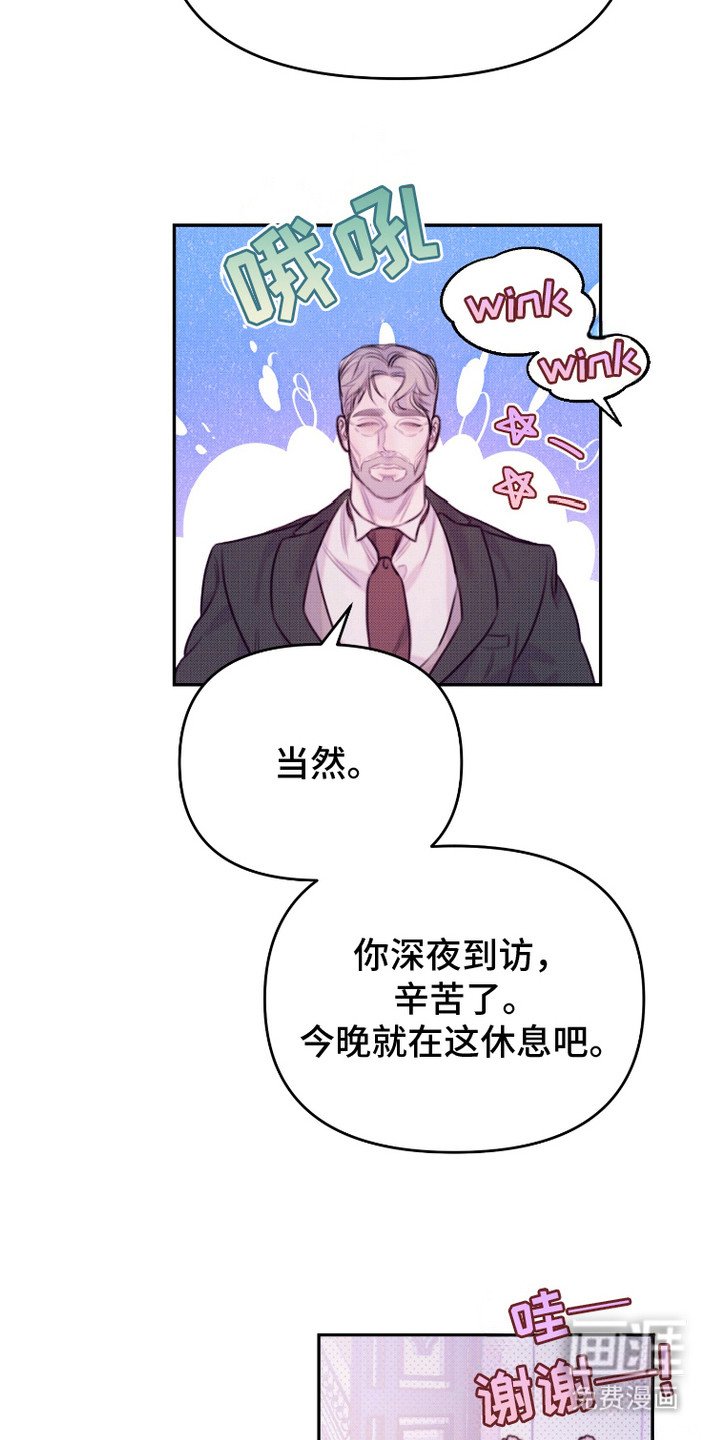 第19章：侧面了解
