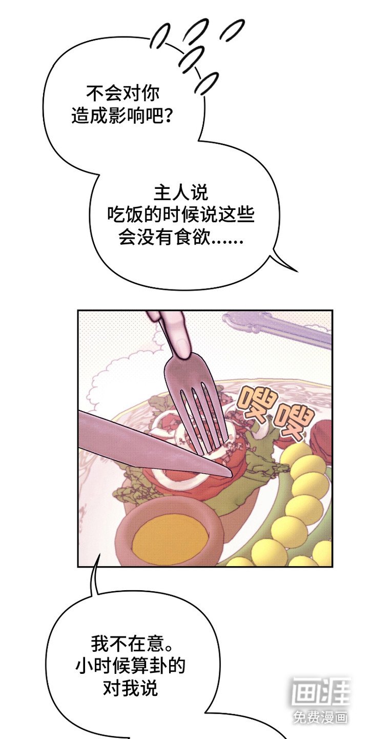 第19章：侧面了解