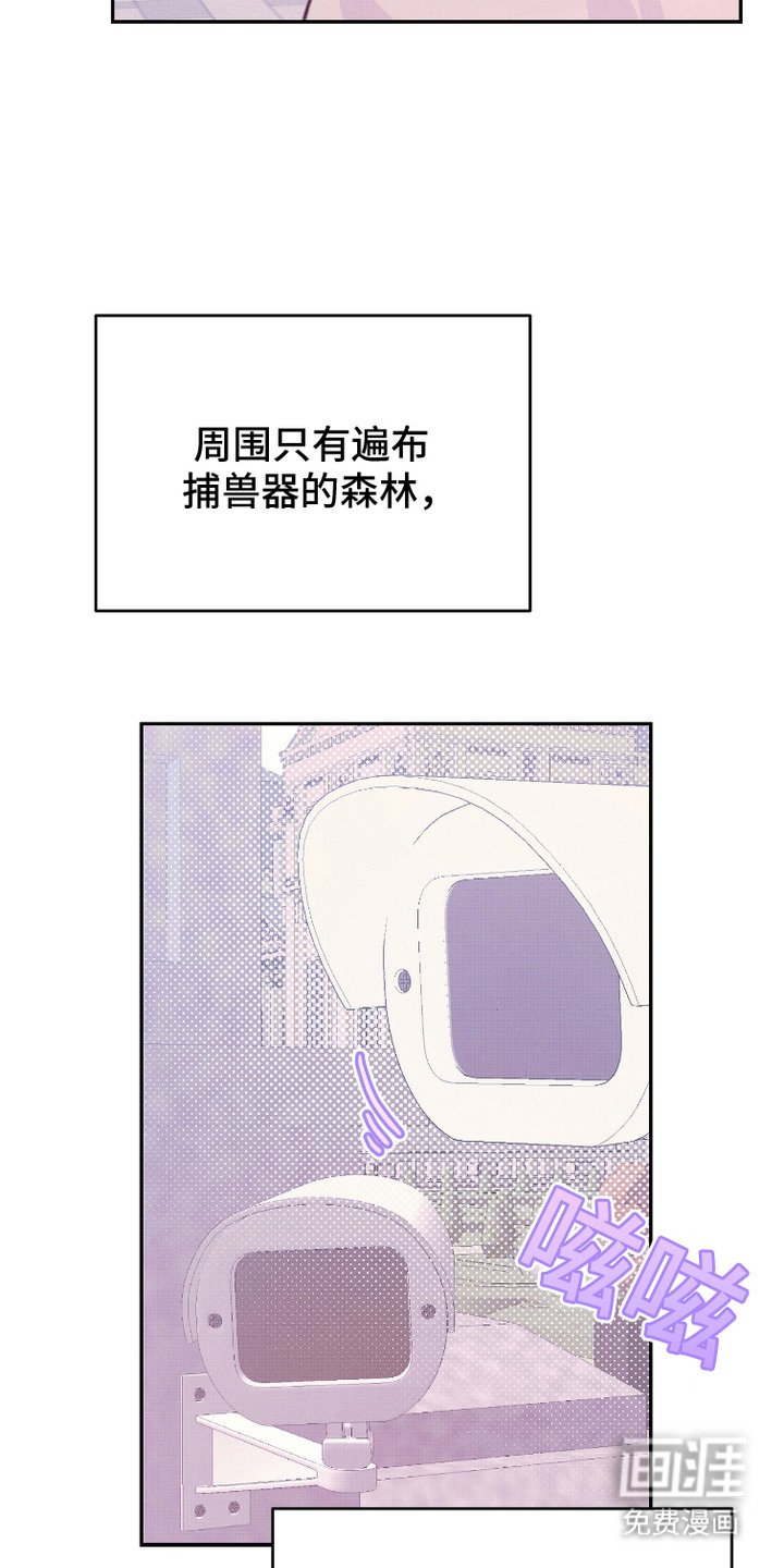 第8章：观察