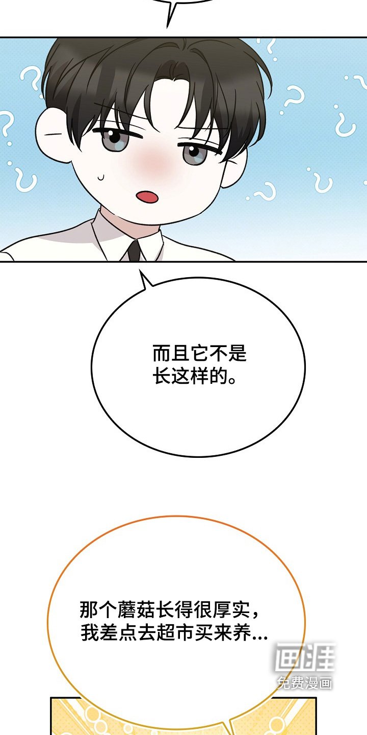 第33章：这么好吃