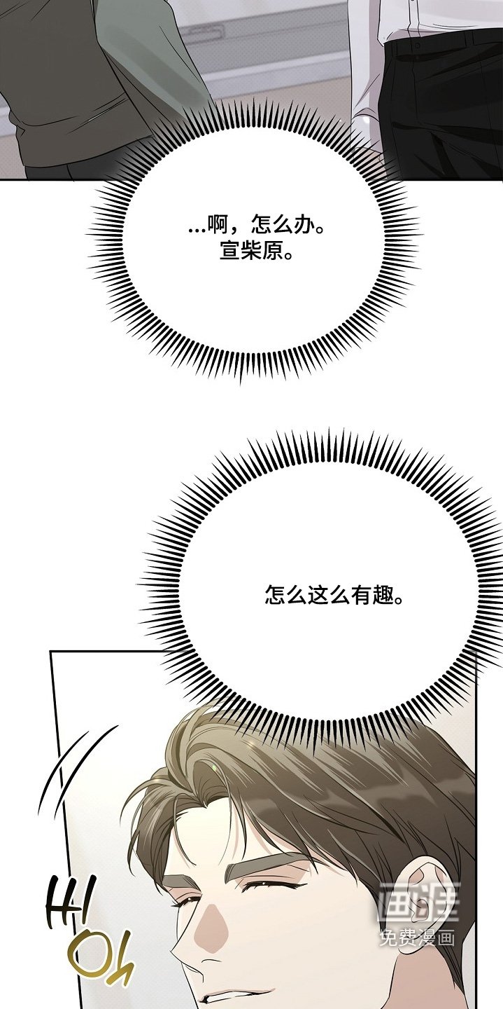第39章：广告宣传