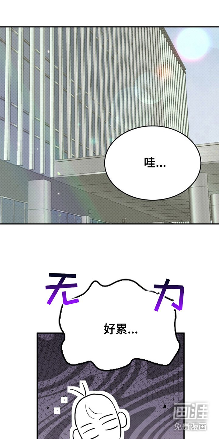 第7章：顺其自然