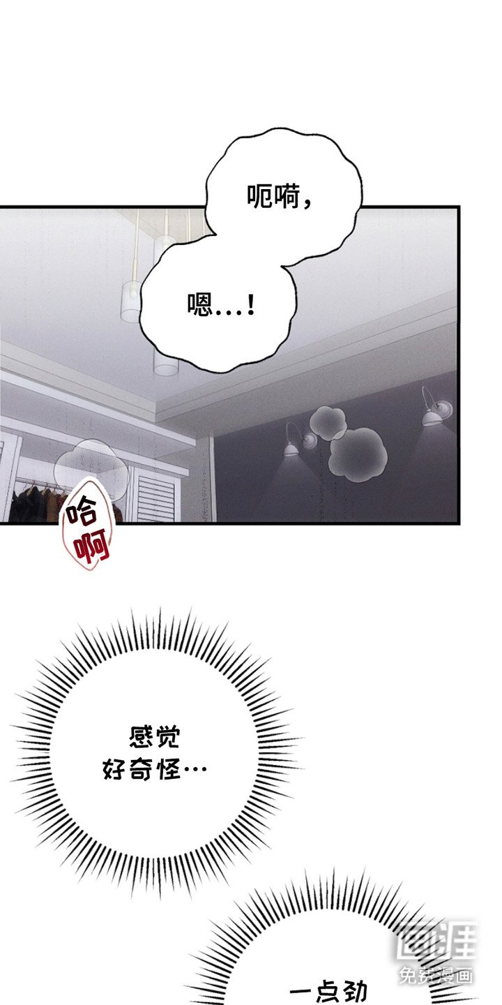 第1章：怀孕