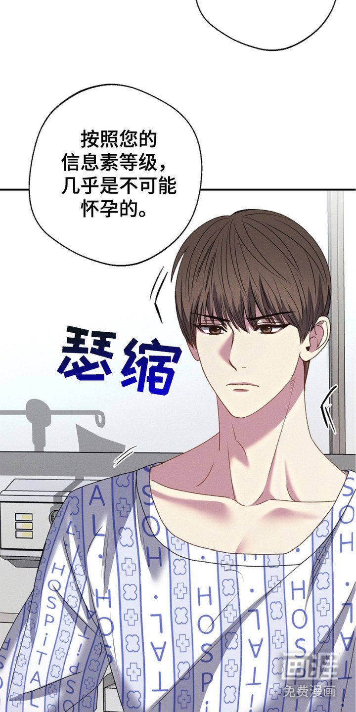 第1章：怀孕