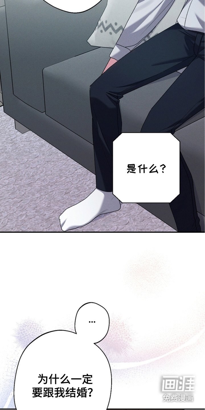 第11章：同意了