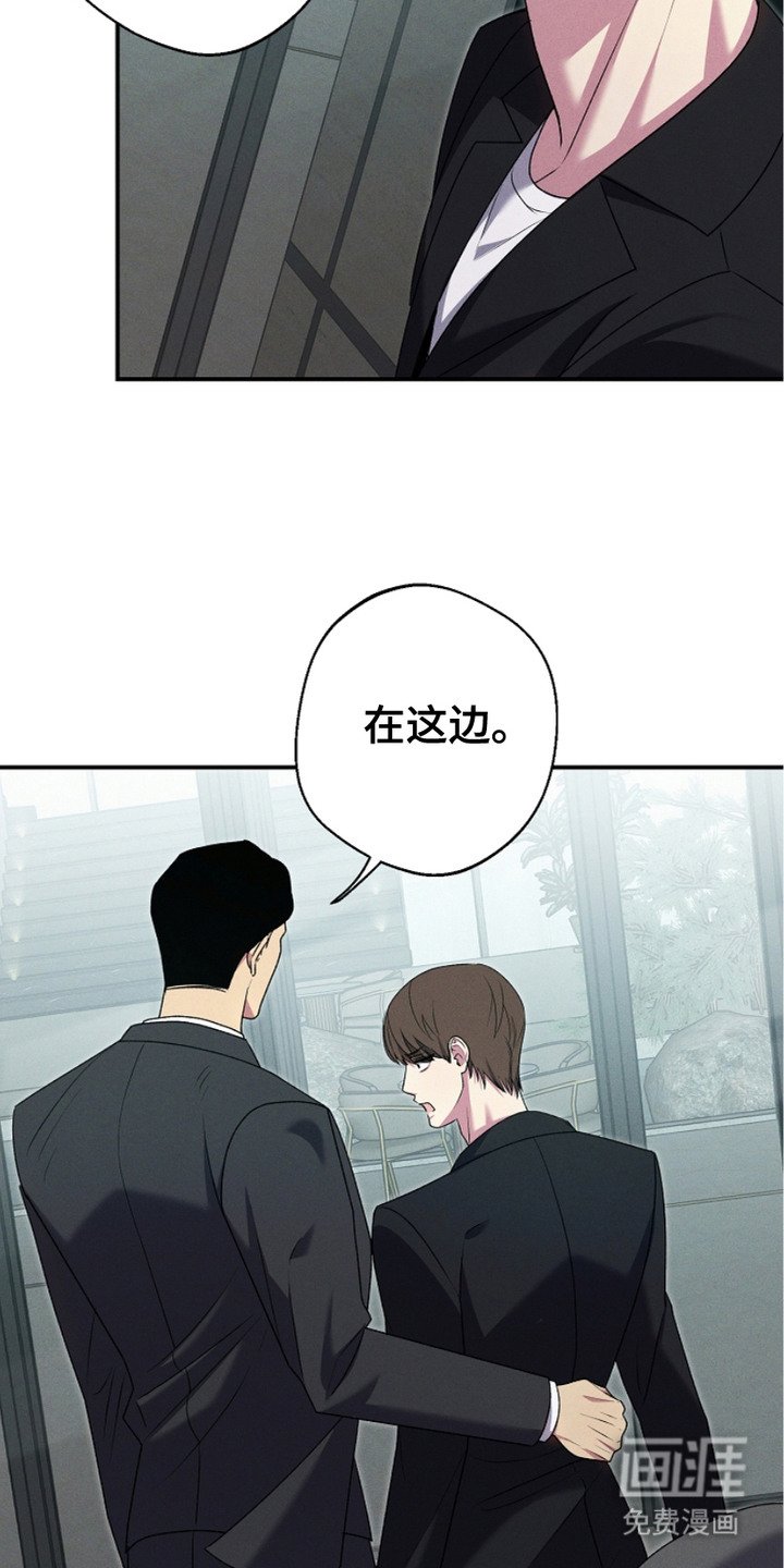 第12章：引人注目