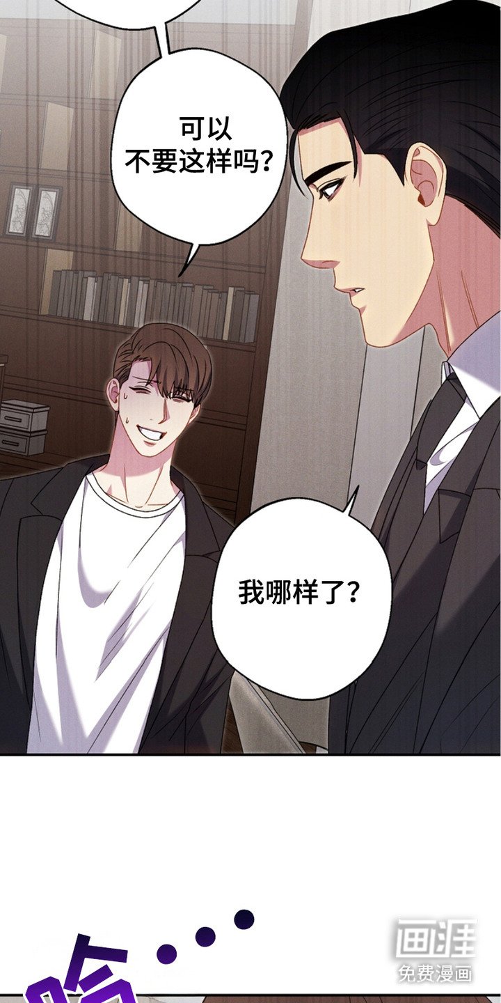第15章：道歉