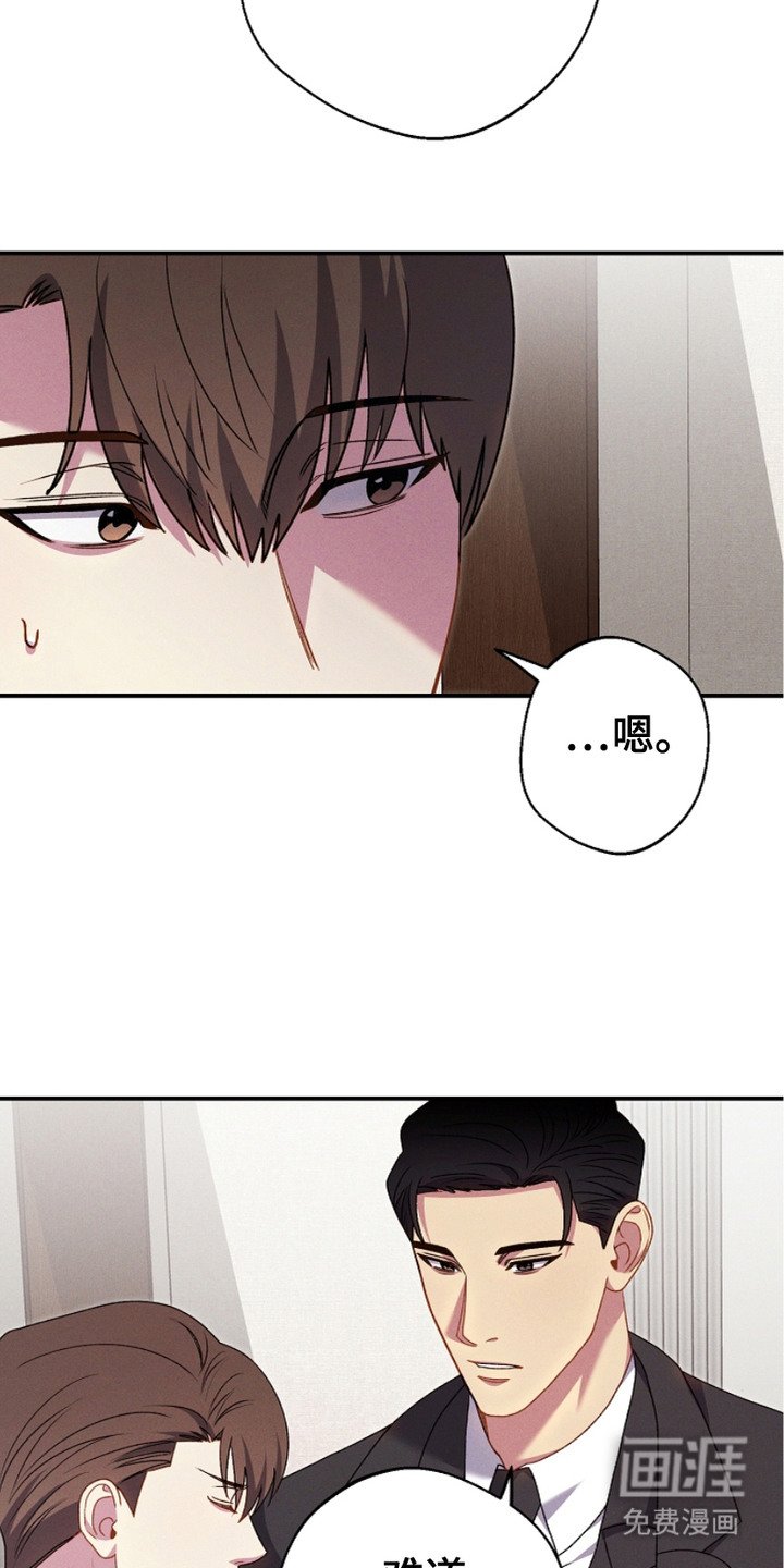 第15章：道歉