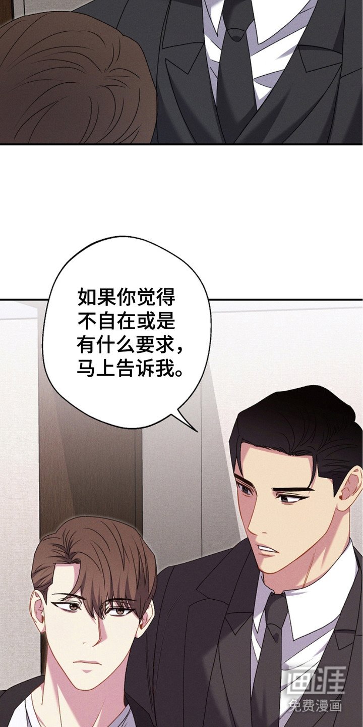 第15章：道歉