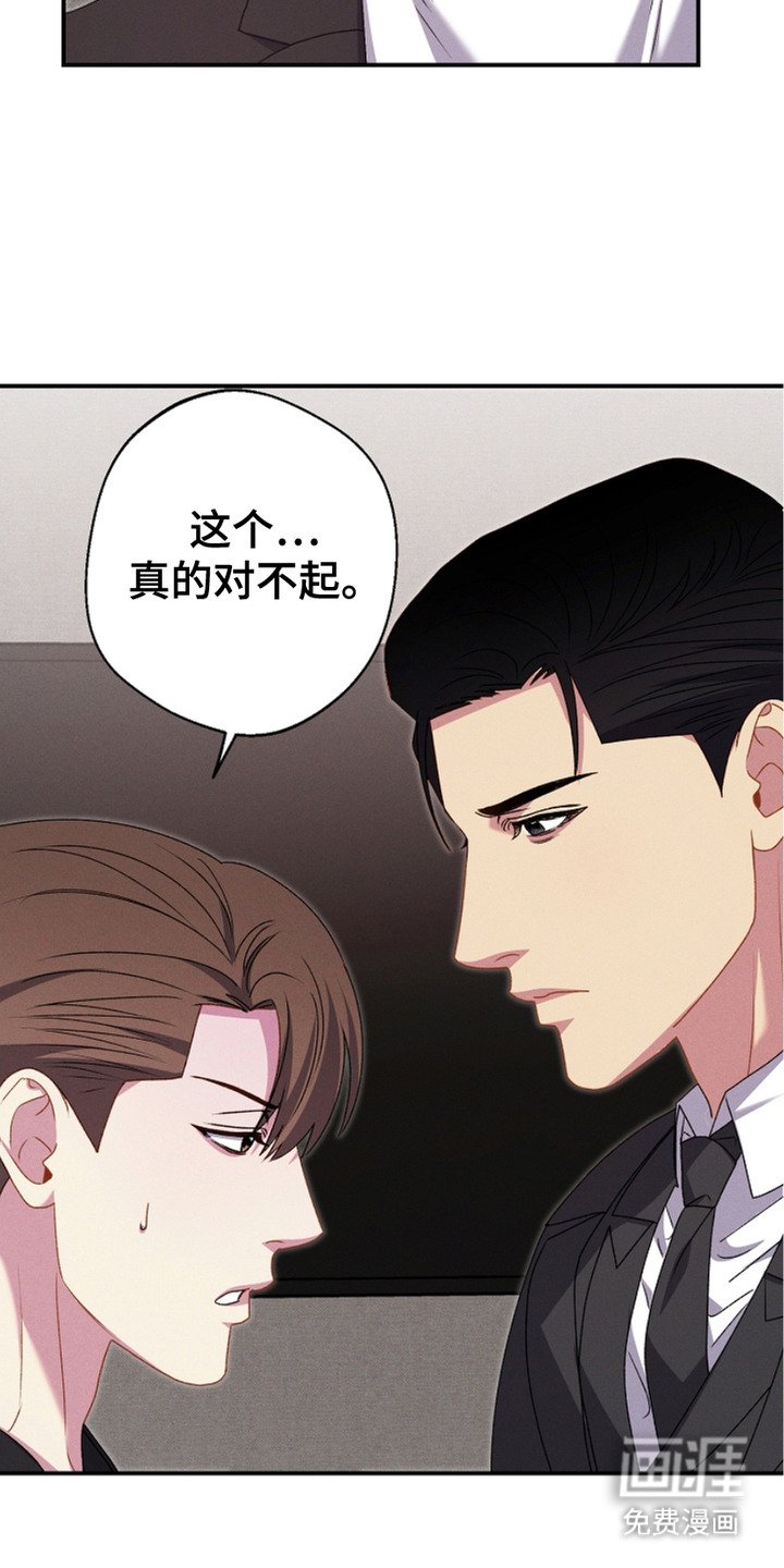 第15章：道歉
