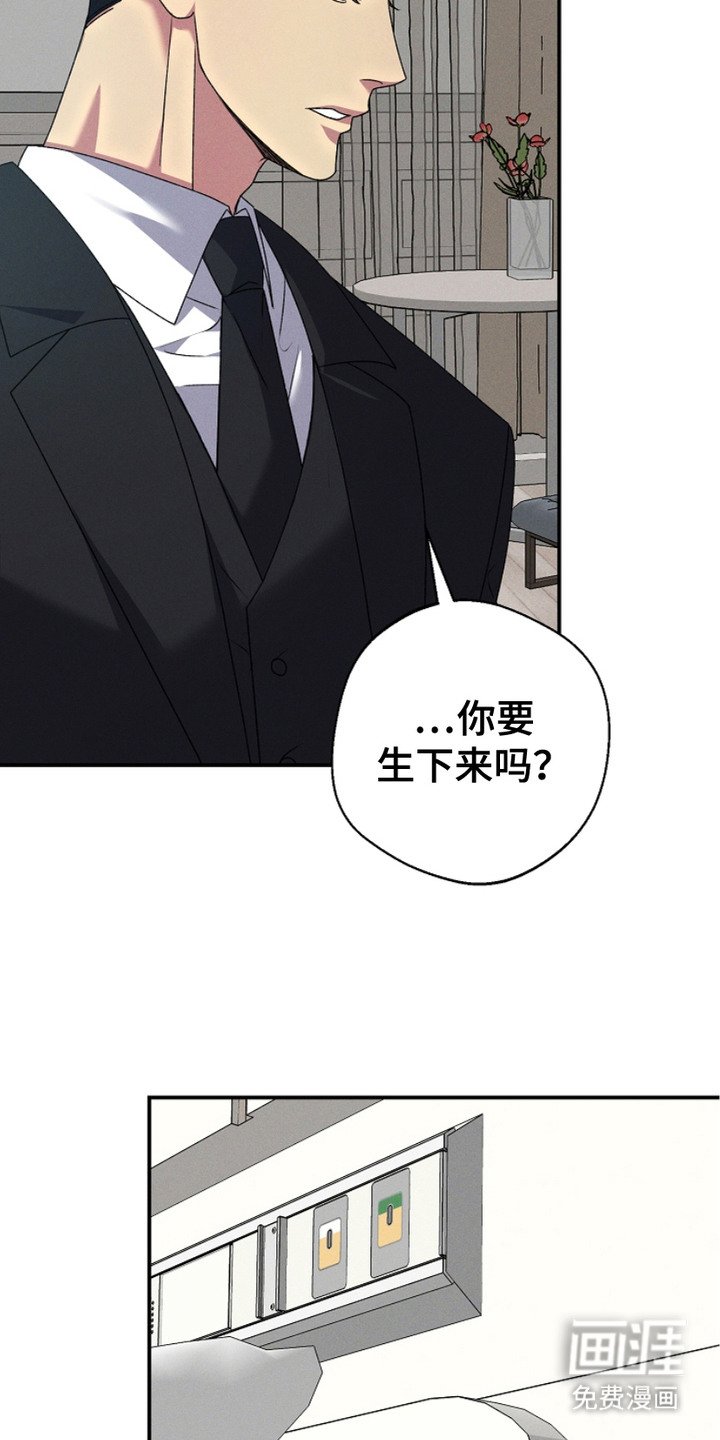 第2章：血缘关系