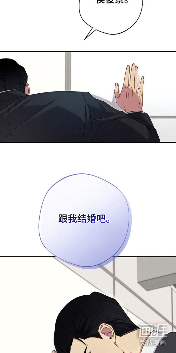 第3章： 跟我结婚吧
