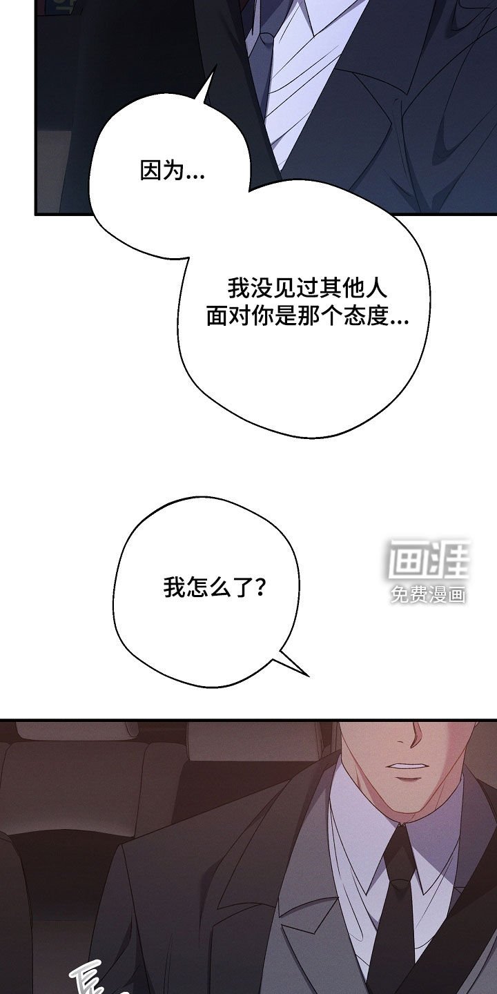 第41章：先回去