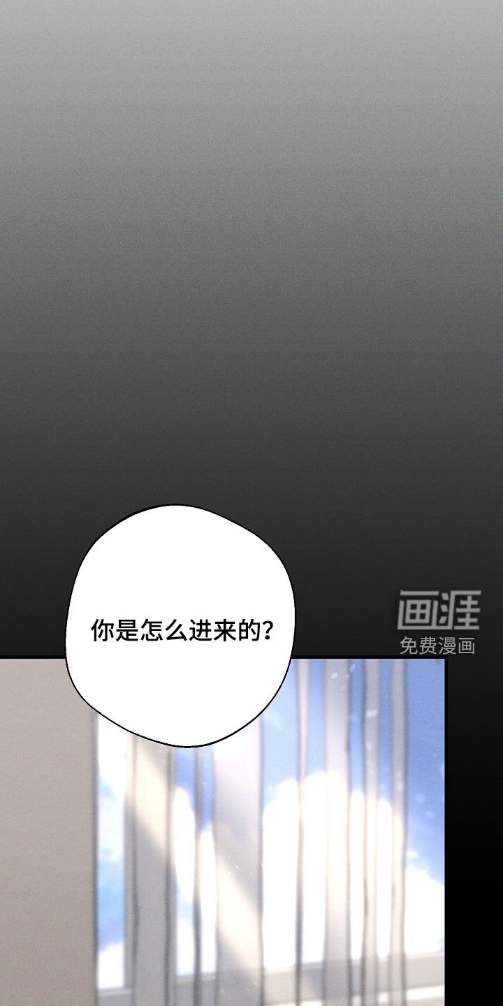 第55章：22年前