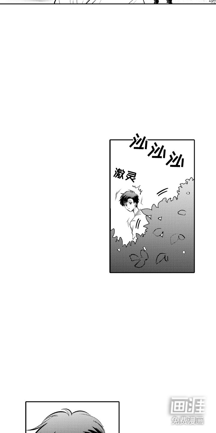 第1章：短尾矮袋鼠