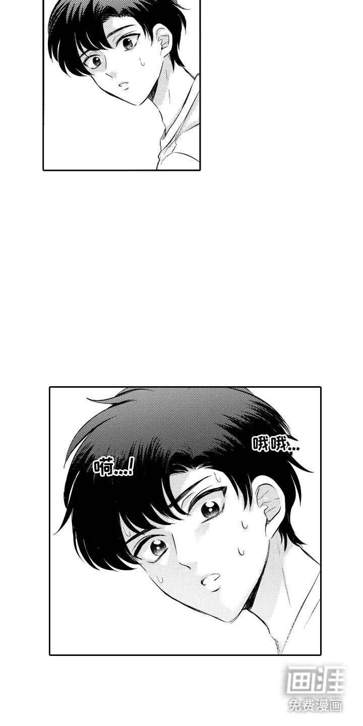 第1章：短尾矮袋鼠