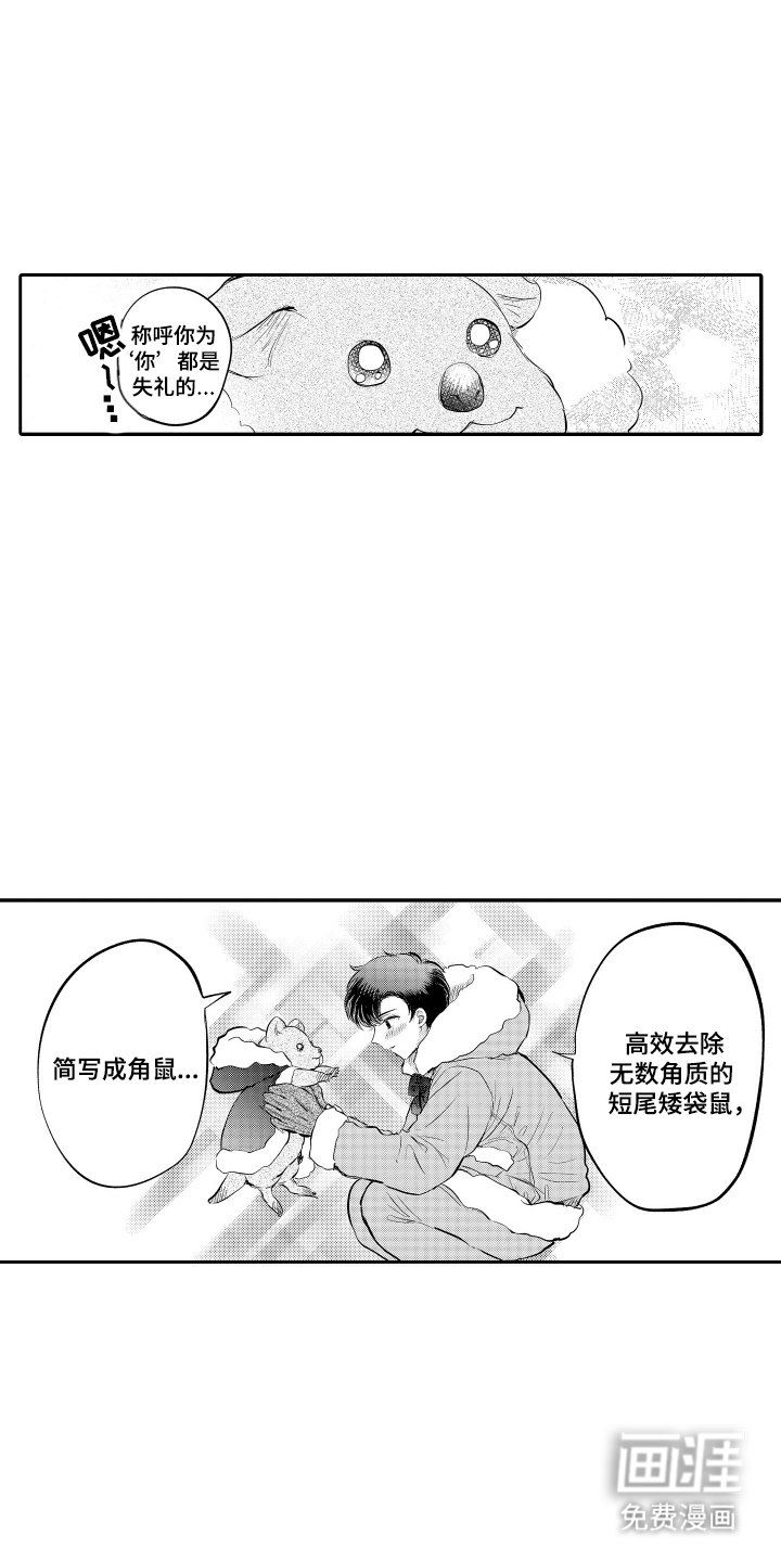 第2章：极光