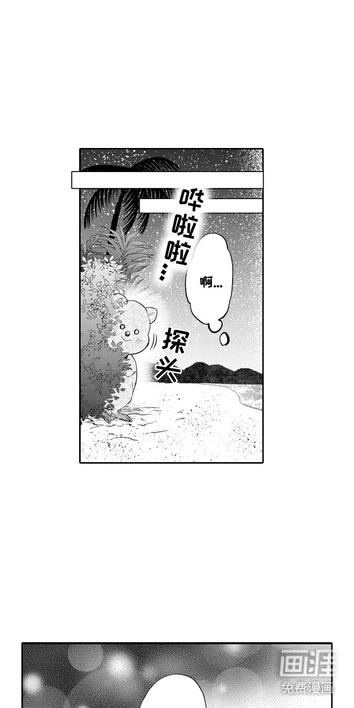 第20章：撒谎