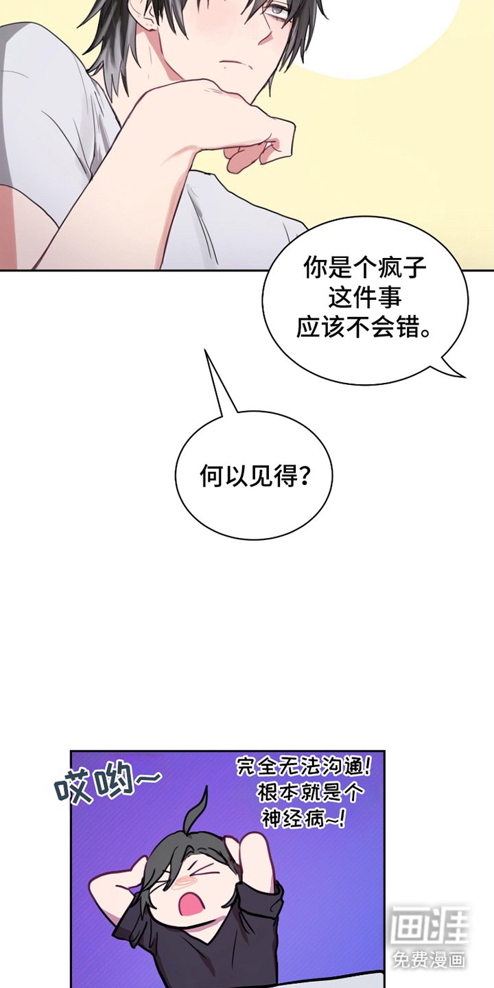 第23章：疯子