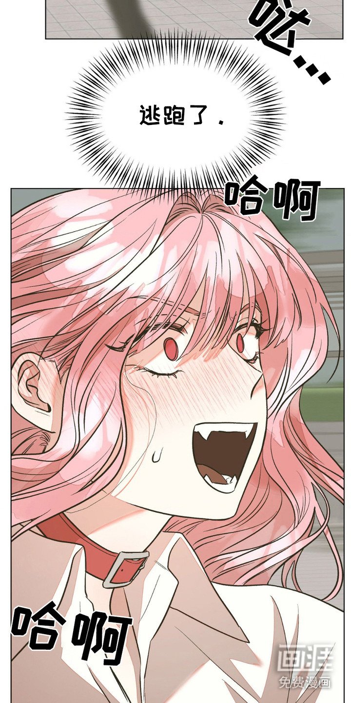第11章：元老院