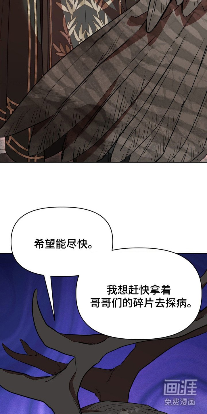 第11章：元老院