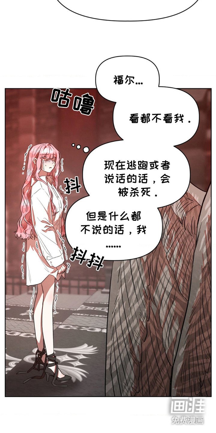 第11章：元老院