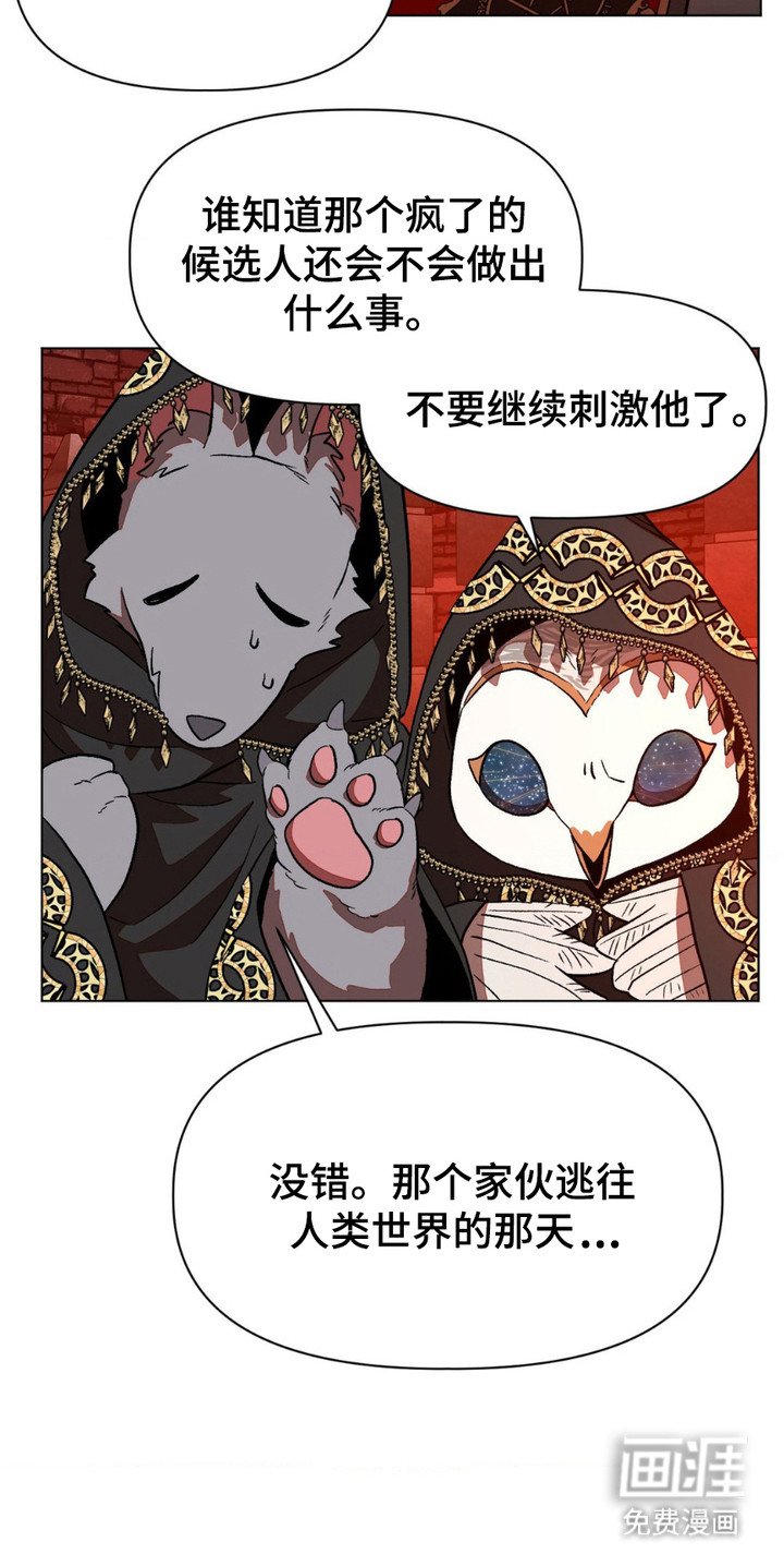 第11章：元老院