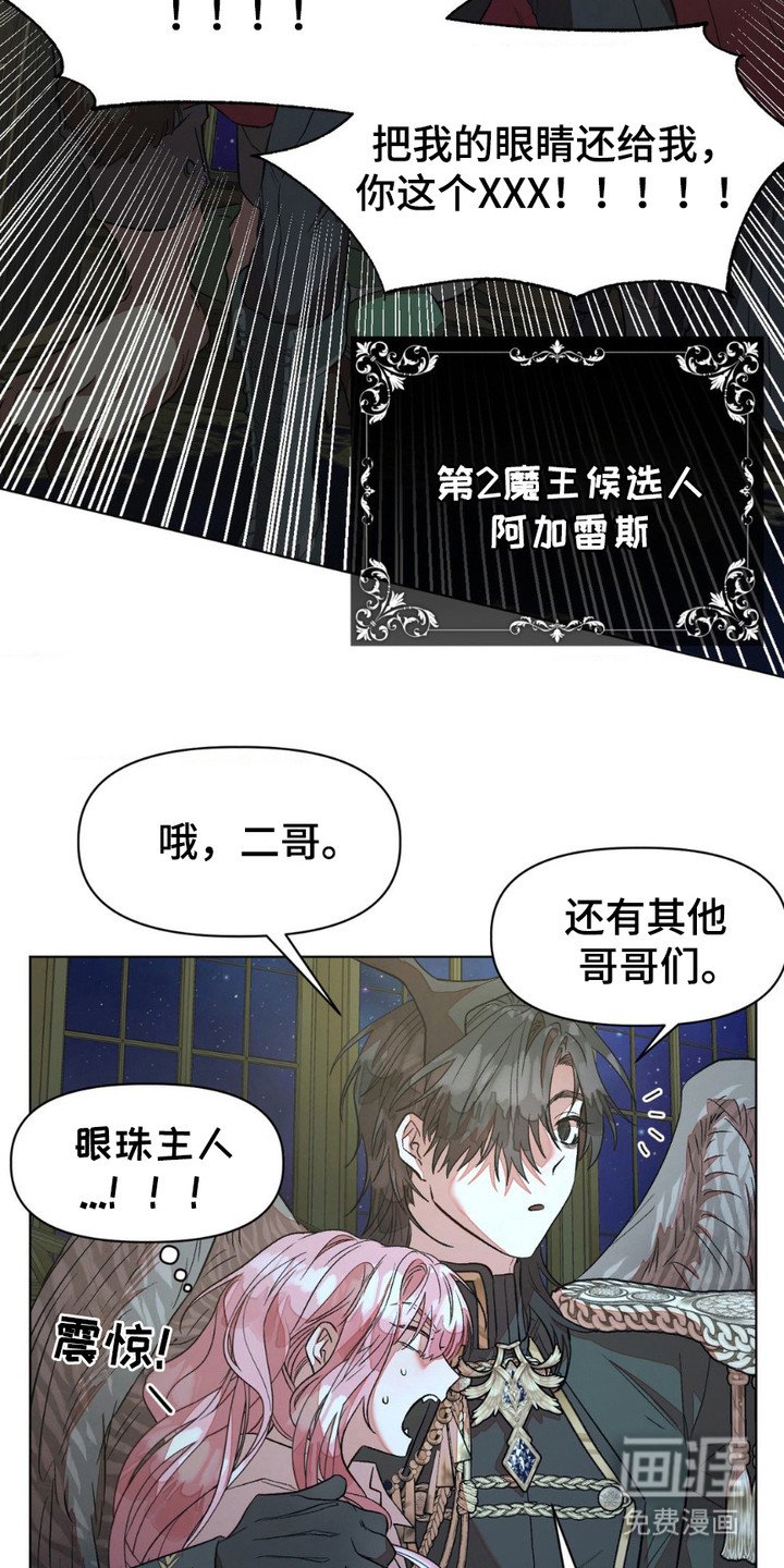 第14章：特赦