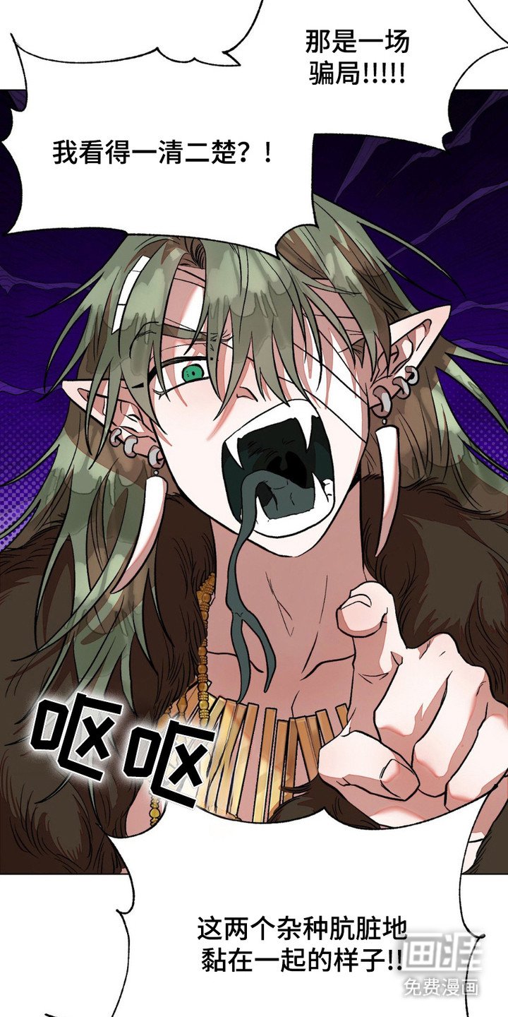 第14章：特赦