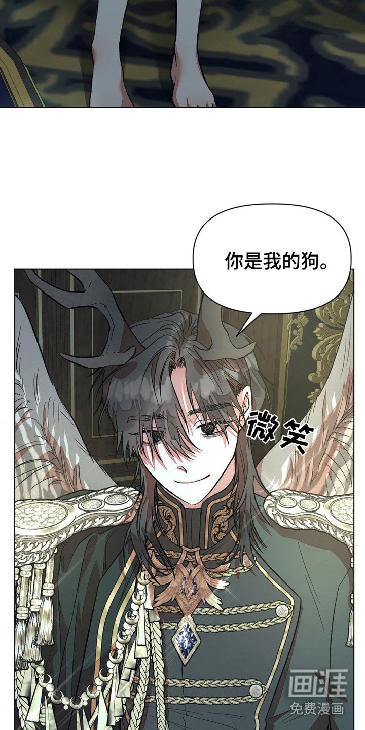 第14章：特赦