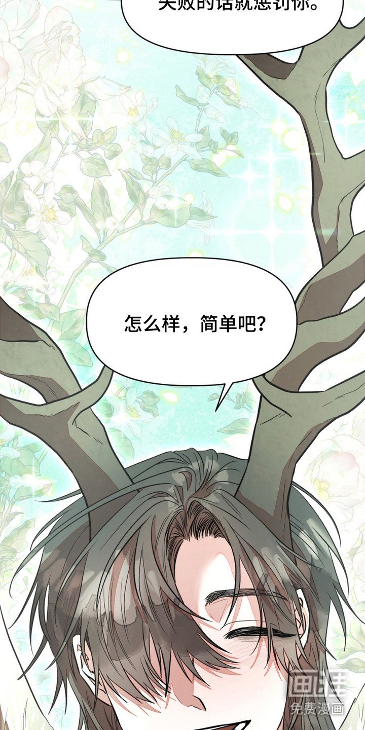 第14章：特赦