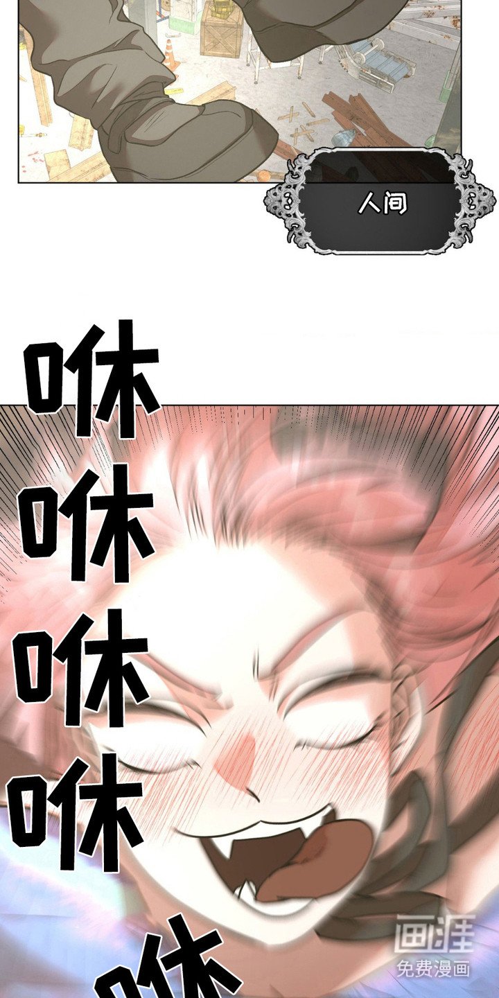 第19章：很可爱