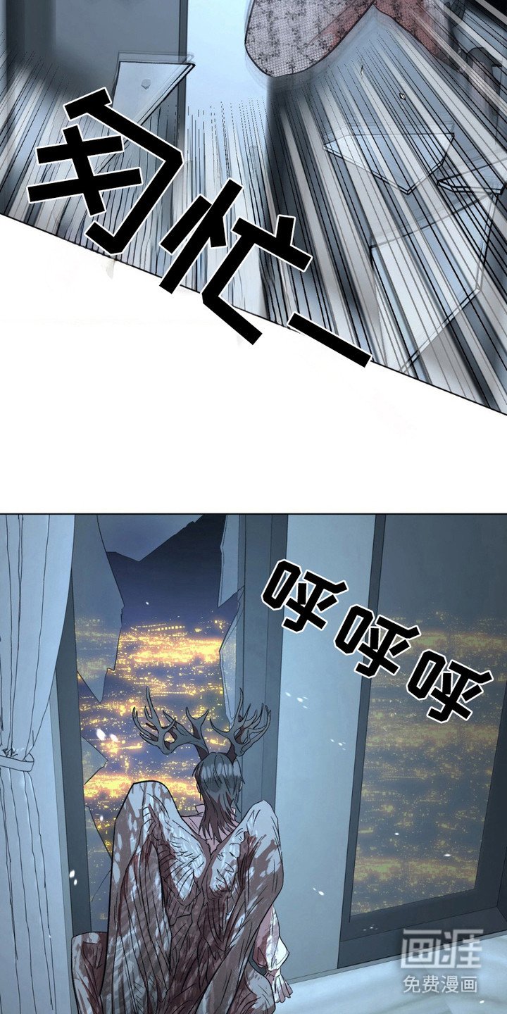 第6章：项圈