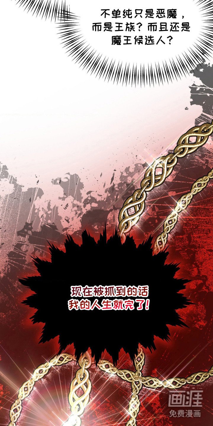 第6章：项圈