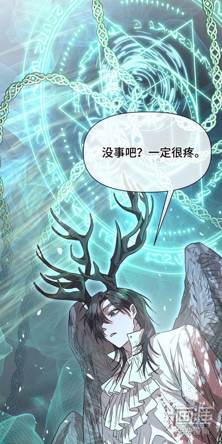 第6章：项圈