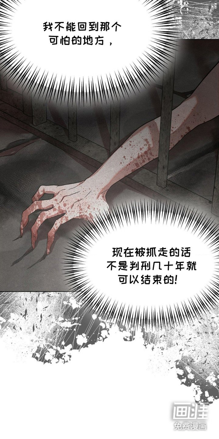 第6章：项圈