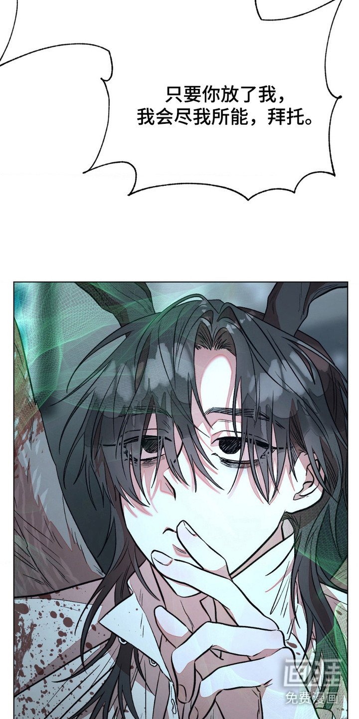 第6章：项圈