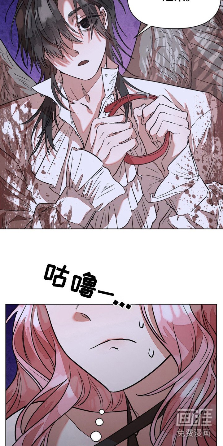 第6章：项圈