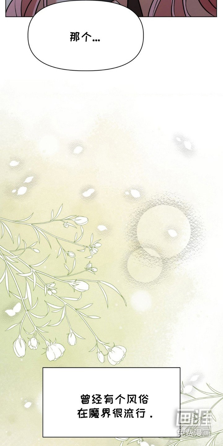 第6章：项圈