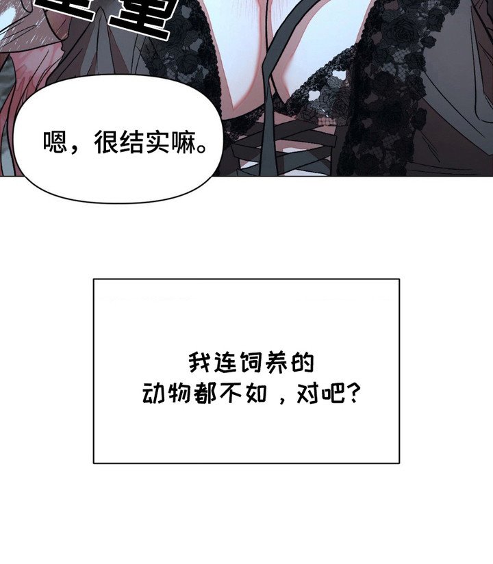 第6章：项圈