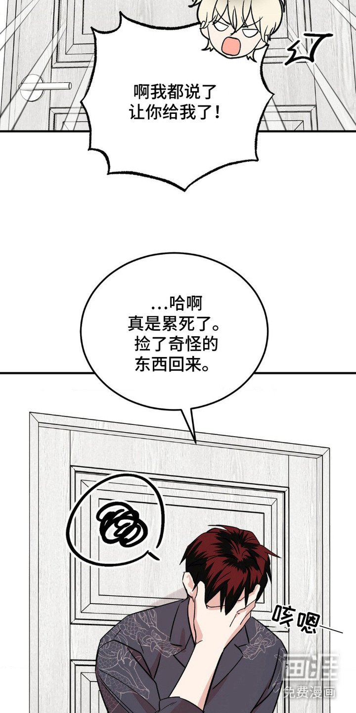 第15章：粉丝
