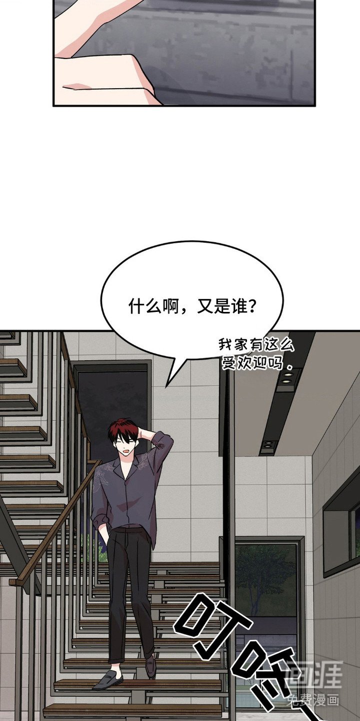 第15章：粉丝