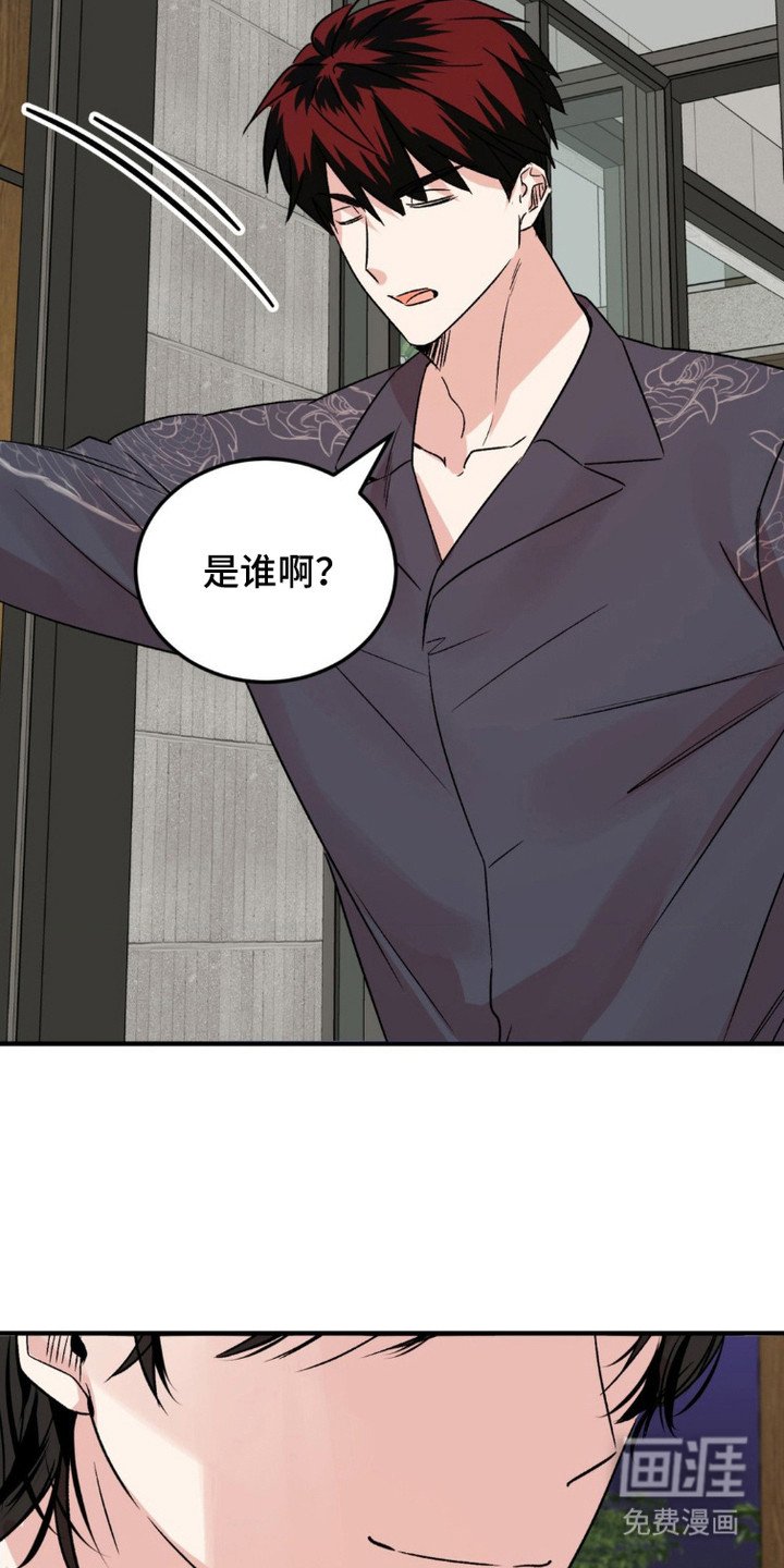 第15章：粉丝