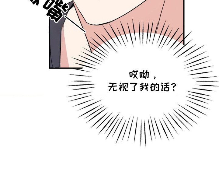 第15章：粉丝