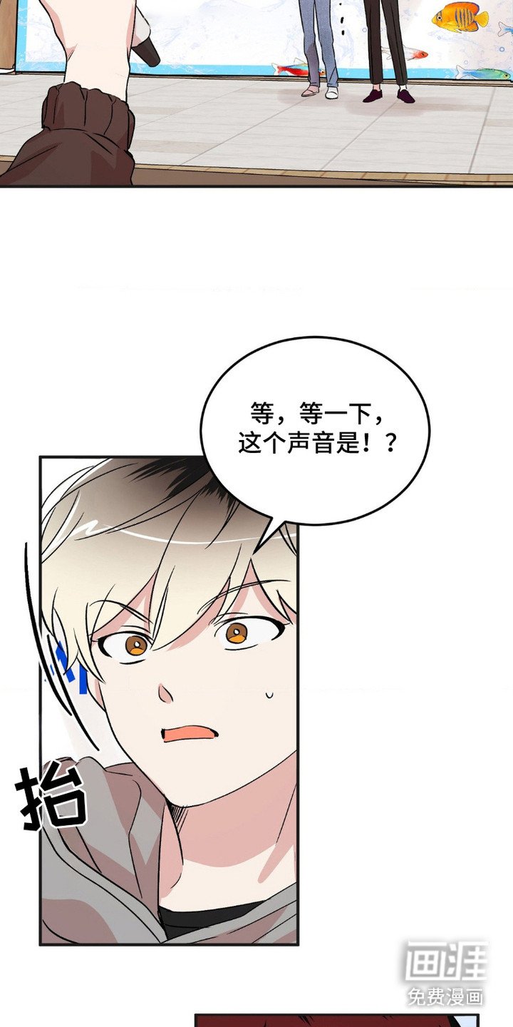 第8章：评委