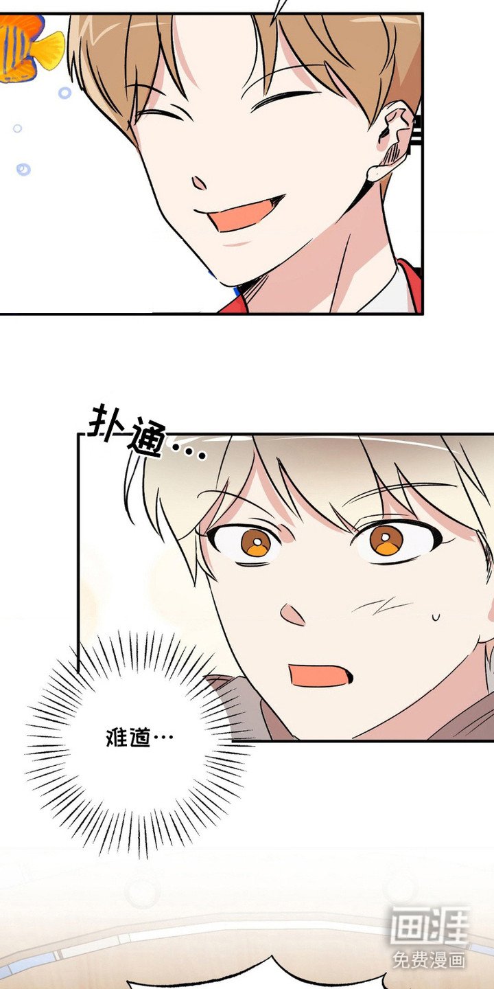 第9章：评分结果