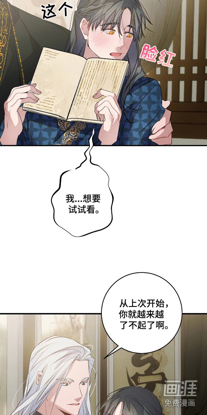 第12章：神奇的书