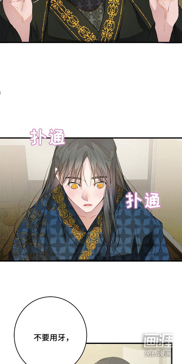 第12章：神奇的书